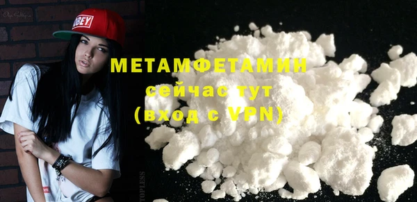 индика Новозыбков