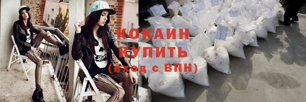 индика Новозыбков