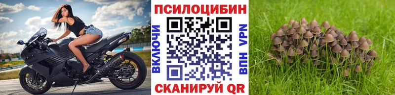 мега рабочий сайт  где найти   Луга  Псилоцибиновые грибы Magic Shrooms 