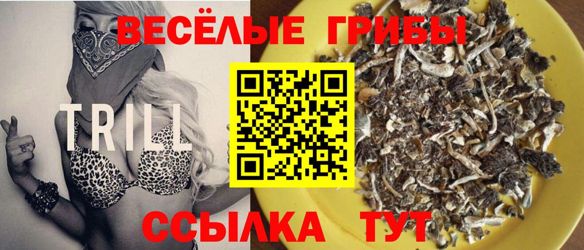 Луга  Псилоцибиновые грибы Magic Shrooms  Вход с VPN 