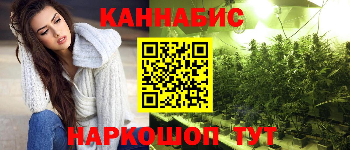 Бошки Шишки LSD WEED  Луга  Шишки марихуана гибрид  Шишки марихуана Ganja 